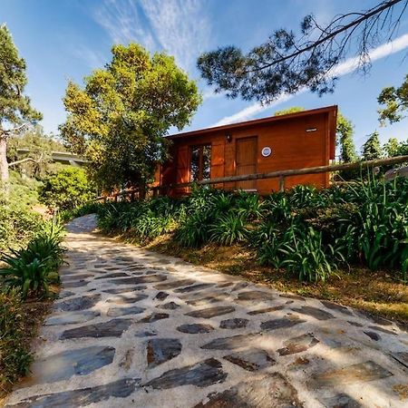 Arrabia Bunga Payva Guest House Raiva Bagian luar foto