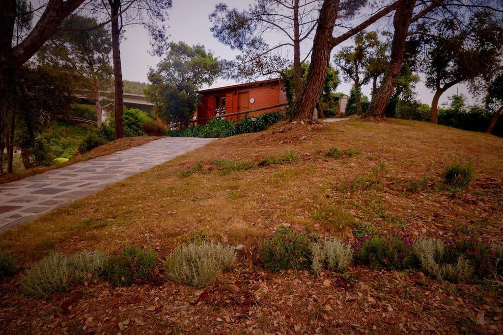 Arrabia Bunga Payva Guest House Raiva Bagian luar foto