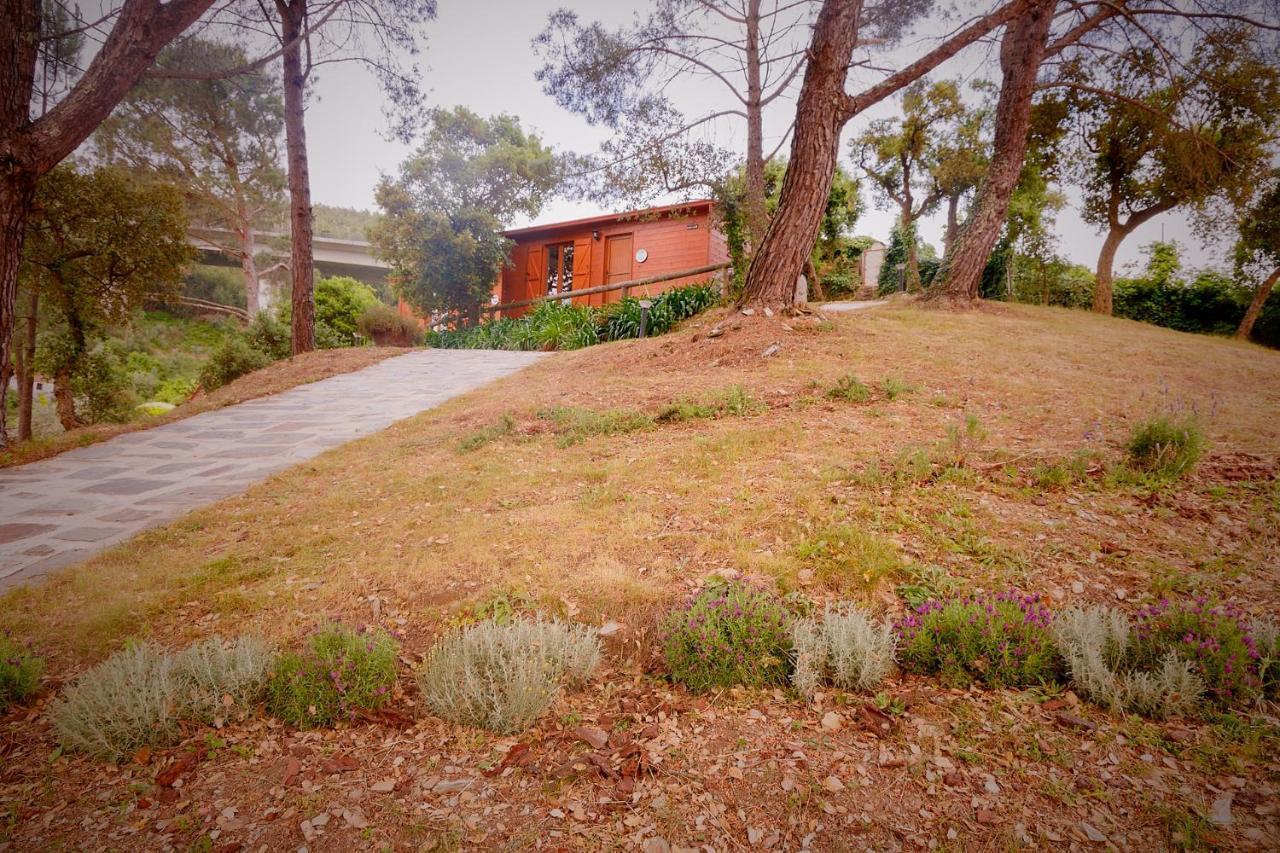 Arrabia Bunga Payva Guest House Raiva Bagian luar foto